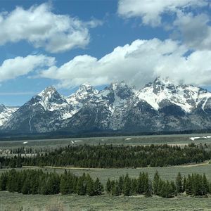 Meet your Posher, Cathy